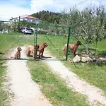 Am Berg * Kampor
