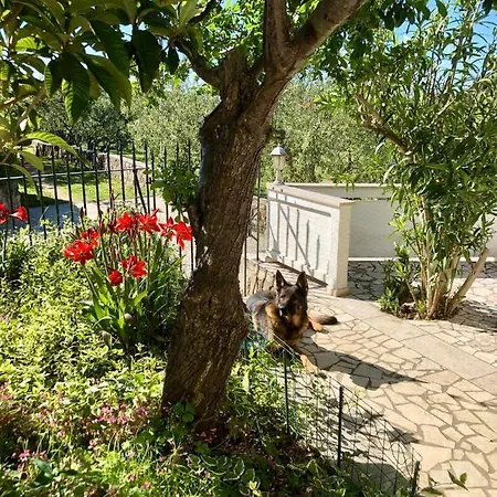 Casa vacanze Am Berg *