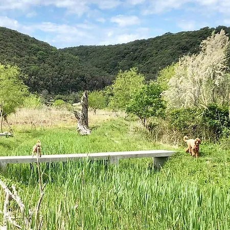 Am Berg Casa vacanze *