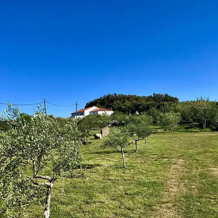 Am Berg *