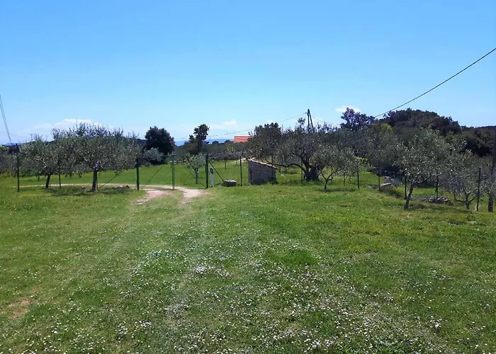 Am Berg *