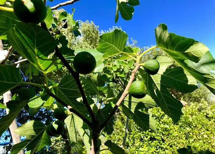 Vakantiehuis Am Berg