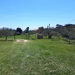 Am Berg *
