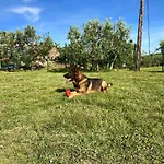 Am Berg * Kampor
