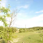 Am Berg *