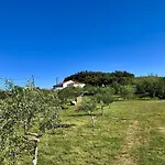 Am Berg *