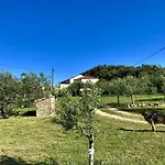 Am Berg