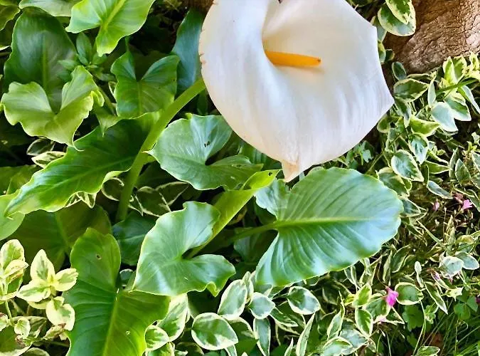 Сasa de vacaciones Am Berg