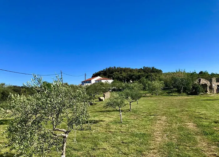 Am Berg *